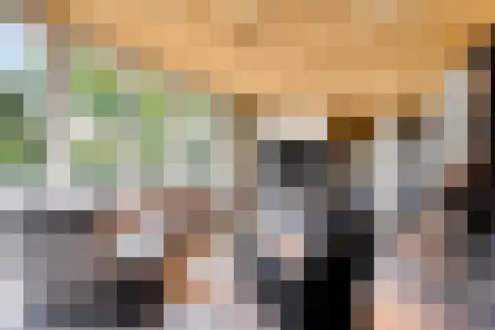 Erasmuslaan 9 Eindhoven thumbnail 16