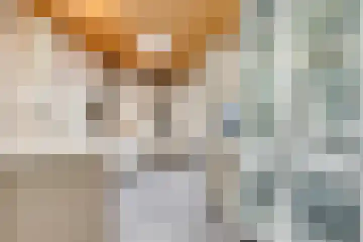 Erasmuslaan 9 Eindhoven thumbnail 23