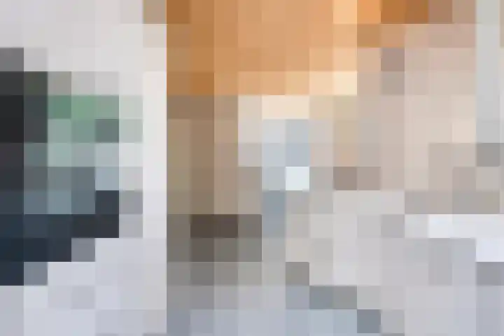 Erasmuslaan 9 Eindhoven thumbnail 25