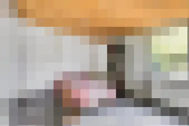 Erasmuslaan 9 Eindhoven thumbnail 28