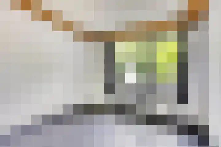 Erasmuslaan 9 Eindhoven thumbnail 30