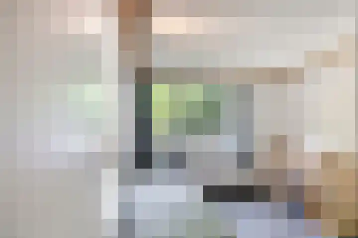 Erasmuslaan 9 Eindhoven thumbnail 32
