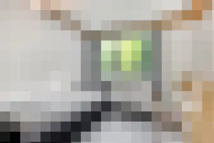 Erasmuslaan 9 Eindhoven thumbnail 33