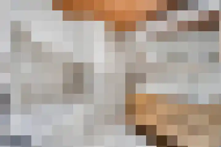 Erasmuslaan 9 Eindhoven thumbnail 38