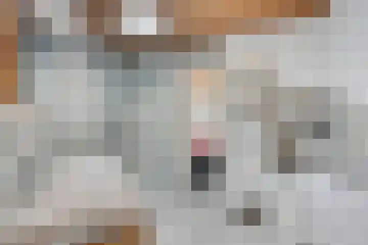 Erasmuslaan 9 Eindhoven thumbnail 39