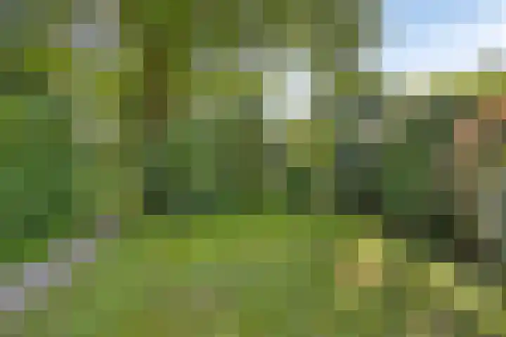 Erasmuslaan 9 Eindhoven thumbnail 43