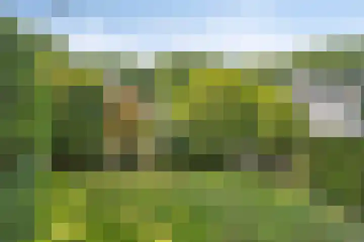 Erasmuslaan 9 Eindhoven thumbnail 44