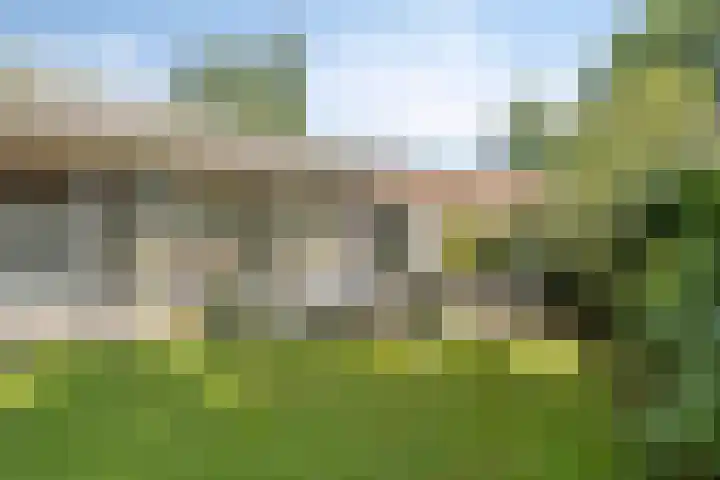 Erasmuslaan 9 Eindhoven thumbnail 46
