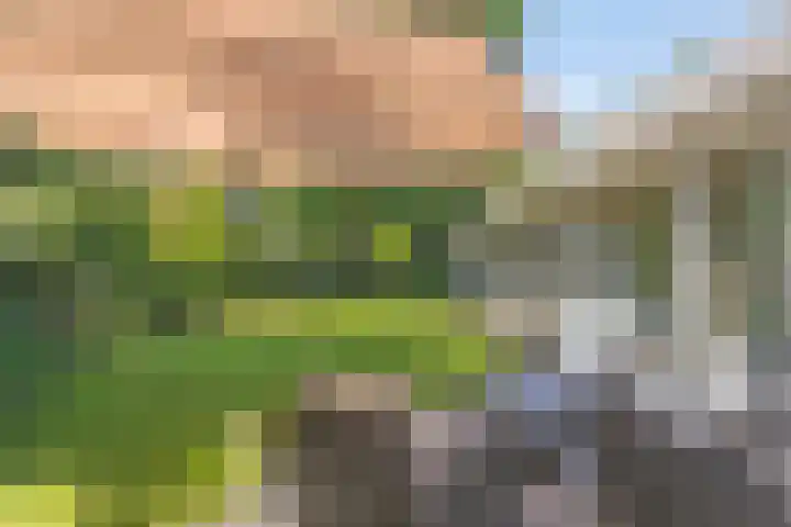 Erasmuslaan 9 Eindhoven thumbnail 47