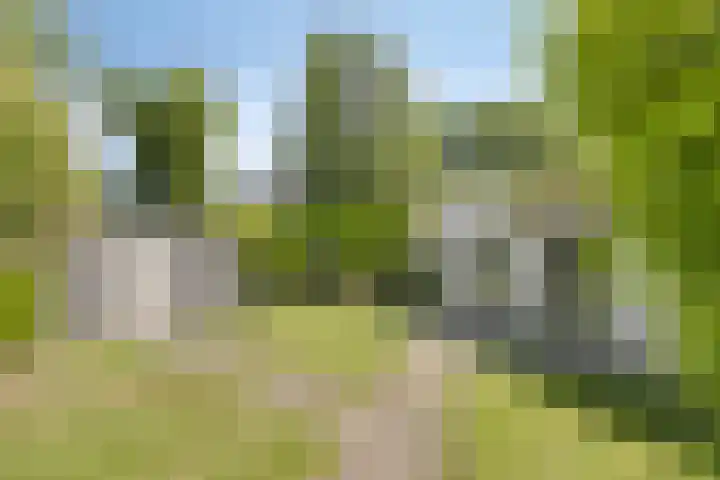 Erasmuslaan 9 Eindhoven thumbnail 48
