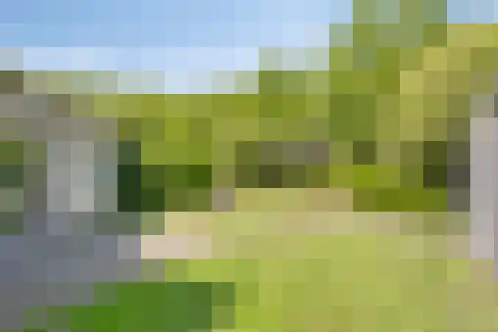 Erasmuslaan 9 Eindhoven thumbnail 49
