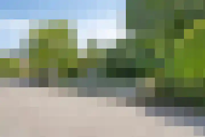 Erasmuslaan 9 Eindhoven thumbnail 50