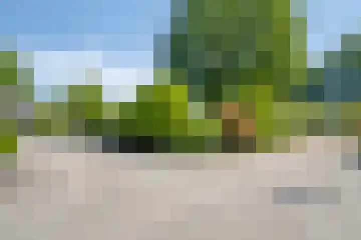 Erasmuslaan 9 Eindhoven thumbnail 51