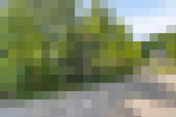Erasmuslaan 9 Eindhoven thumbnail 52