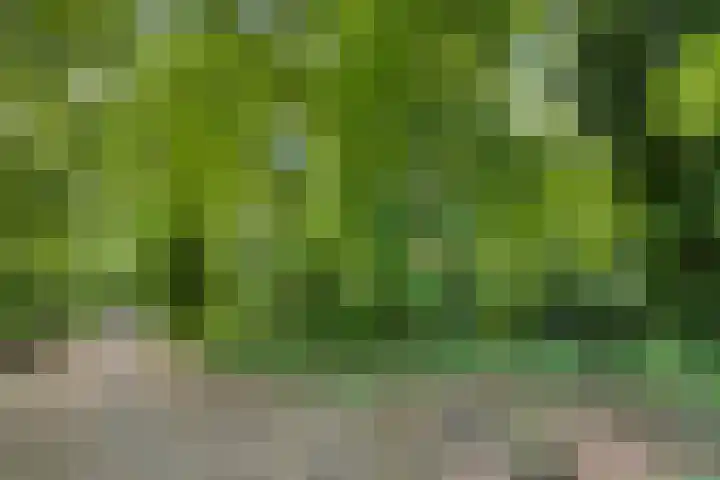 Erasmuslaan 9 Eindhoven thumbnail 53