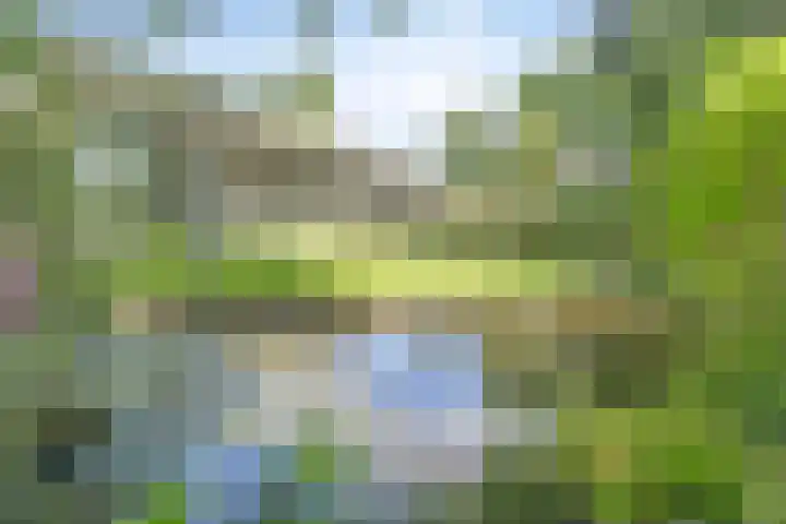 Erasmuslaan 9 Eindhoven thumbnail 56