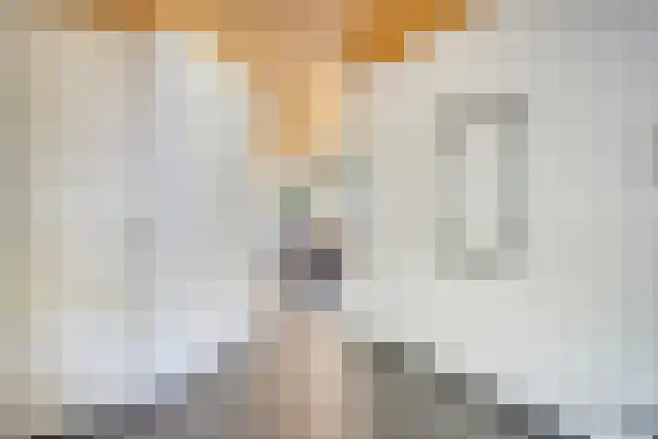 Erasmuslaan 9 Eindhoven thumbnail 6