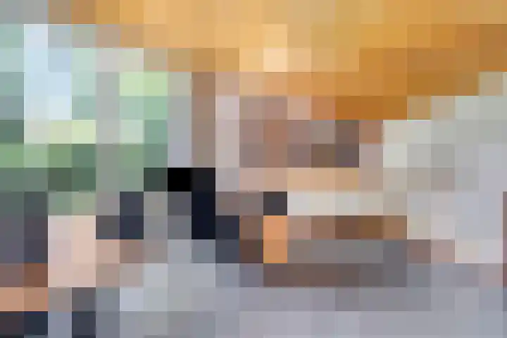 Erasmuslaan 9 Eindhoven thumbnail 9