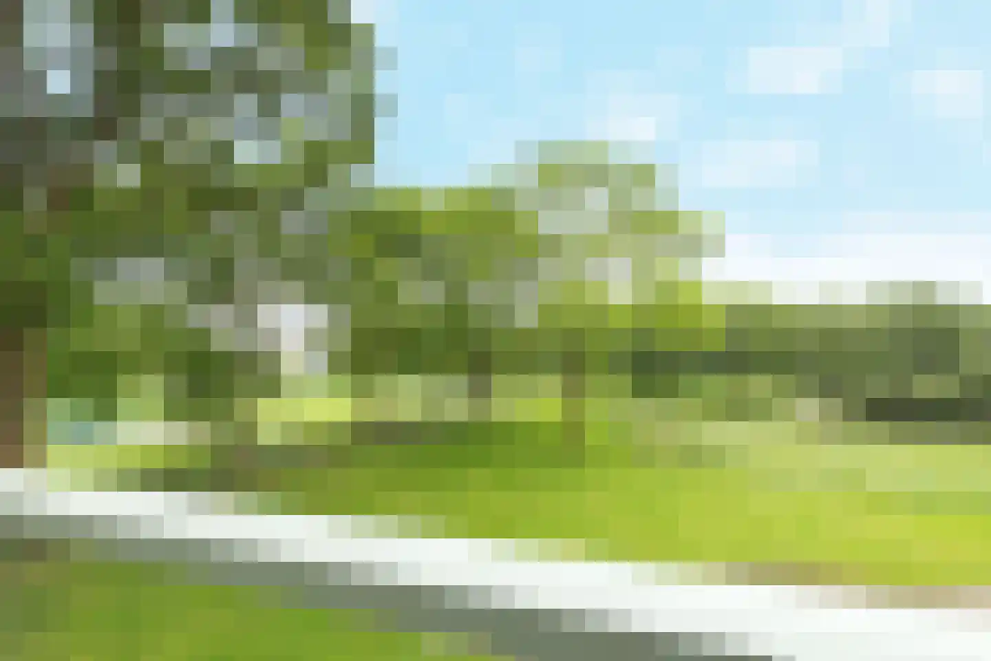 Erasmuspark 105 Ridderkerk thumbnail 11
