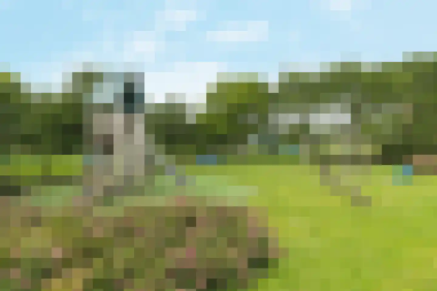 Erasmuspark 105 Ridderkerk thumbnail 31