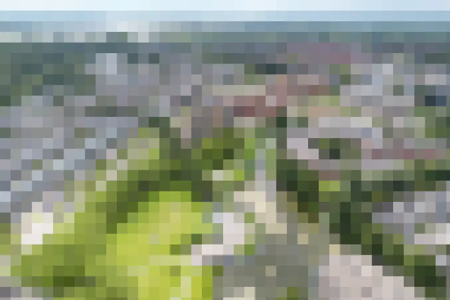 Erasmuspark 105 Ridderkerk thumbnail 5