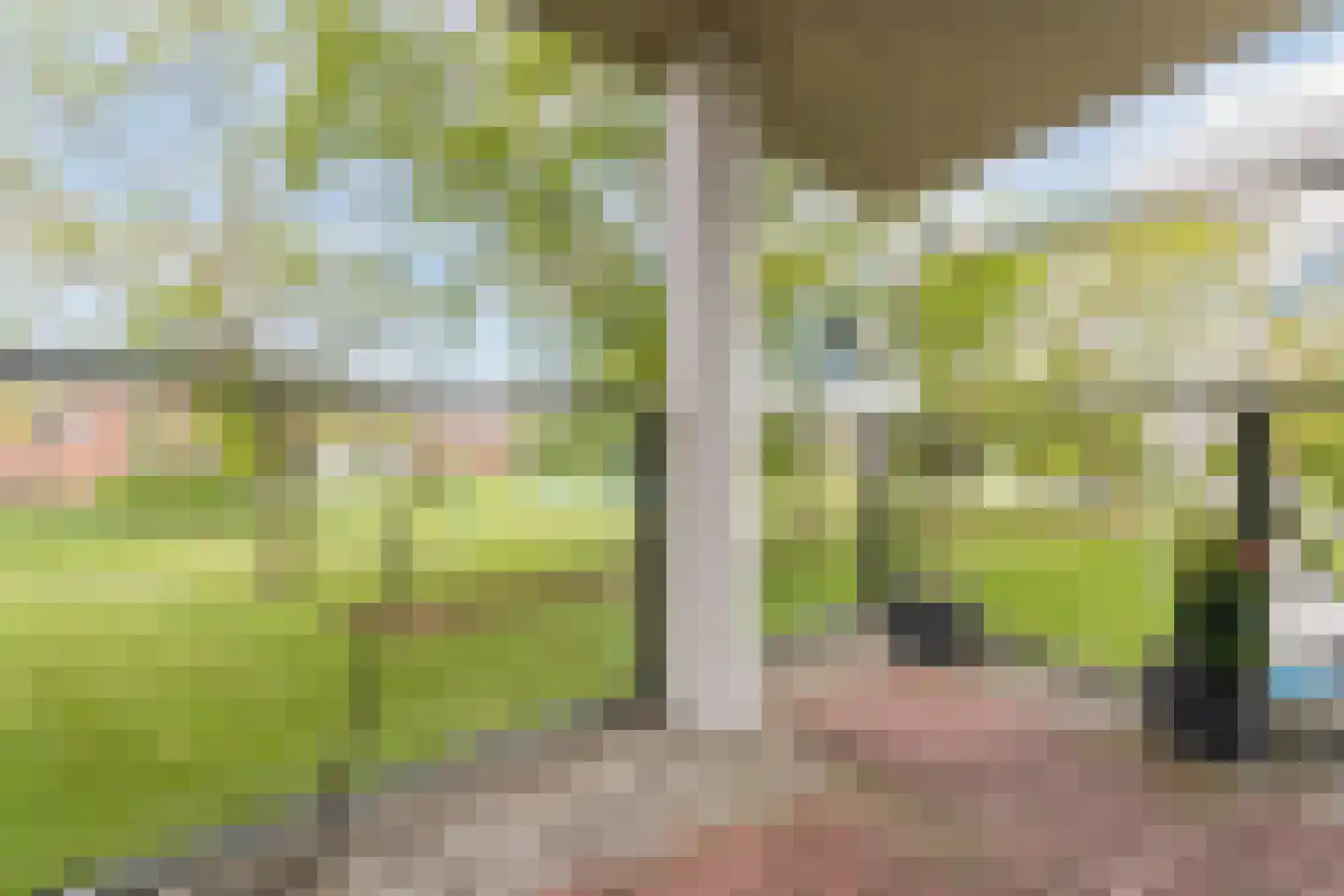 Erasmuspark 105 Ridderkerk thumbnail 51