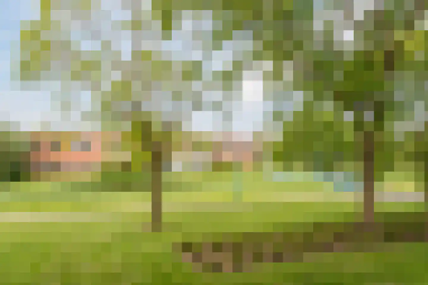 Erasmuspark 105 Ridderkerk thumbnail 52