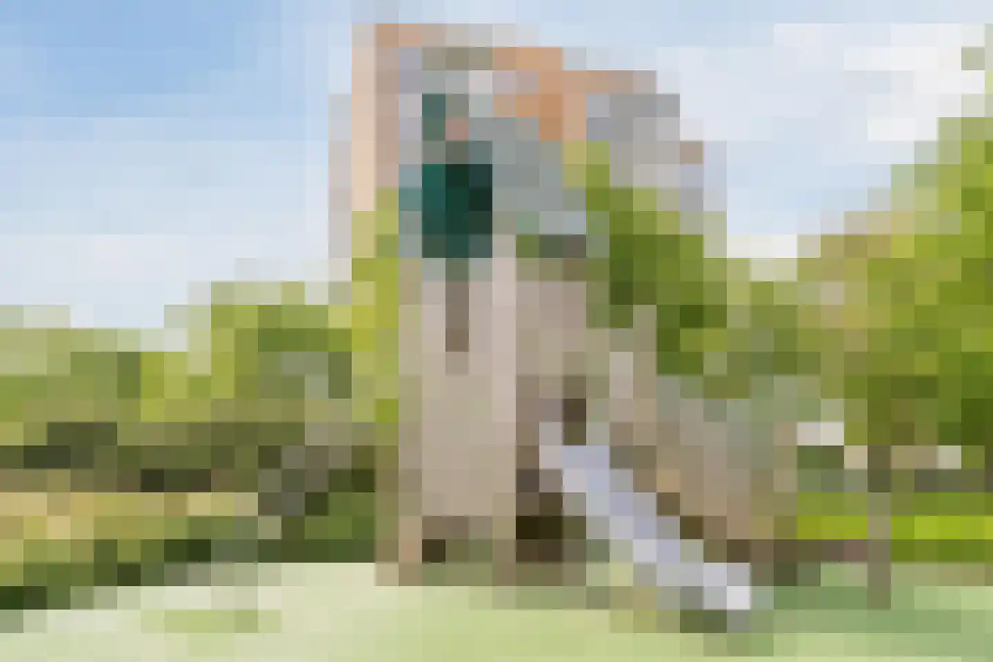 Erasmuspark 105 Ridderkerk thumbnail 70
