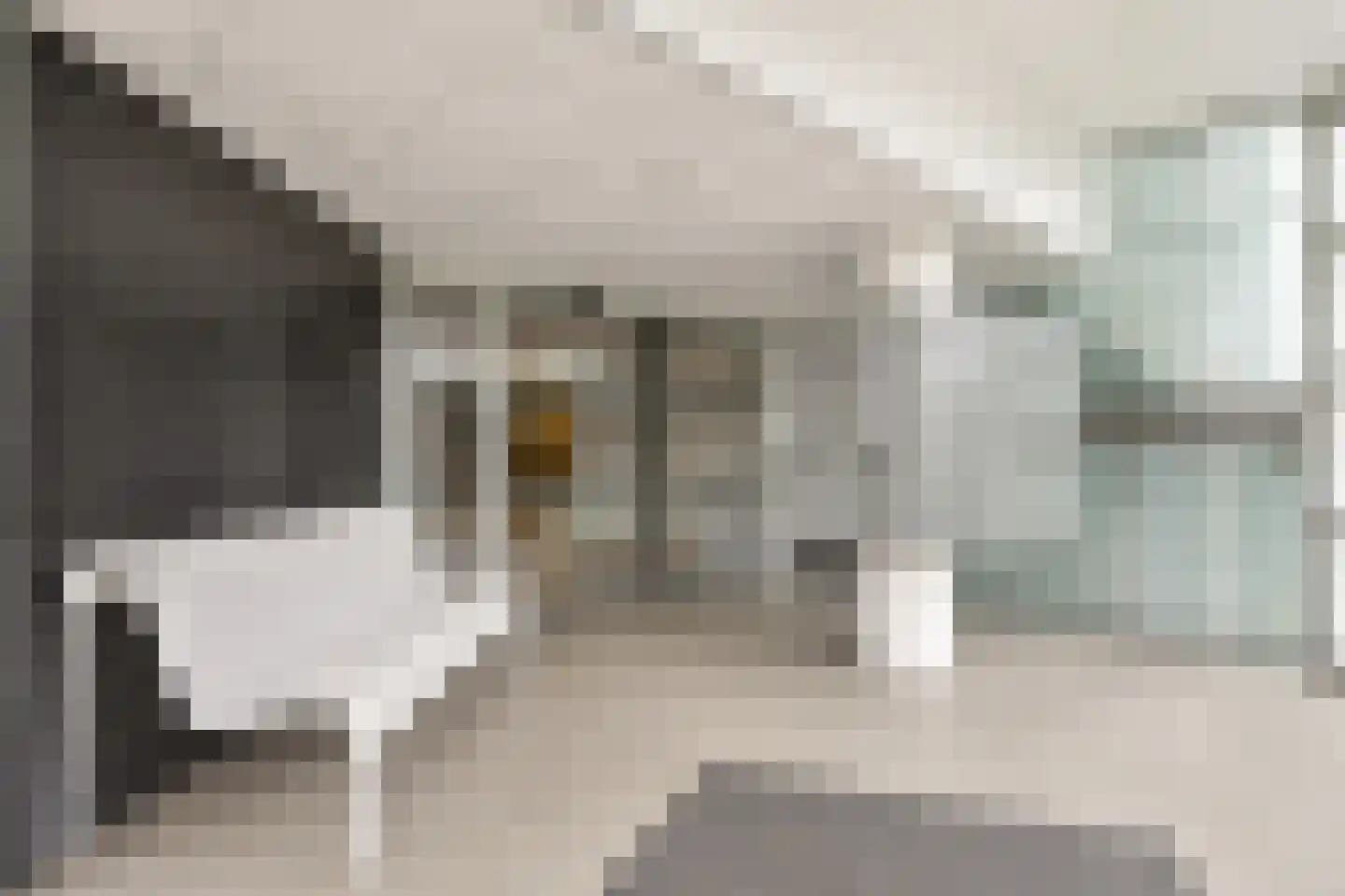 Erasmuspark 136 Ridderkerk thumbnail 10