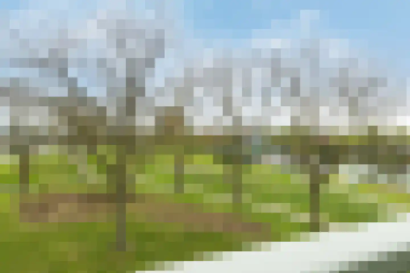 Erasmuspark 40 Ridderkerk thumbnail 14