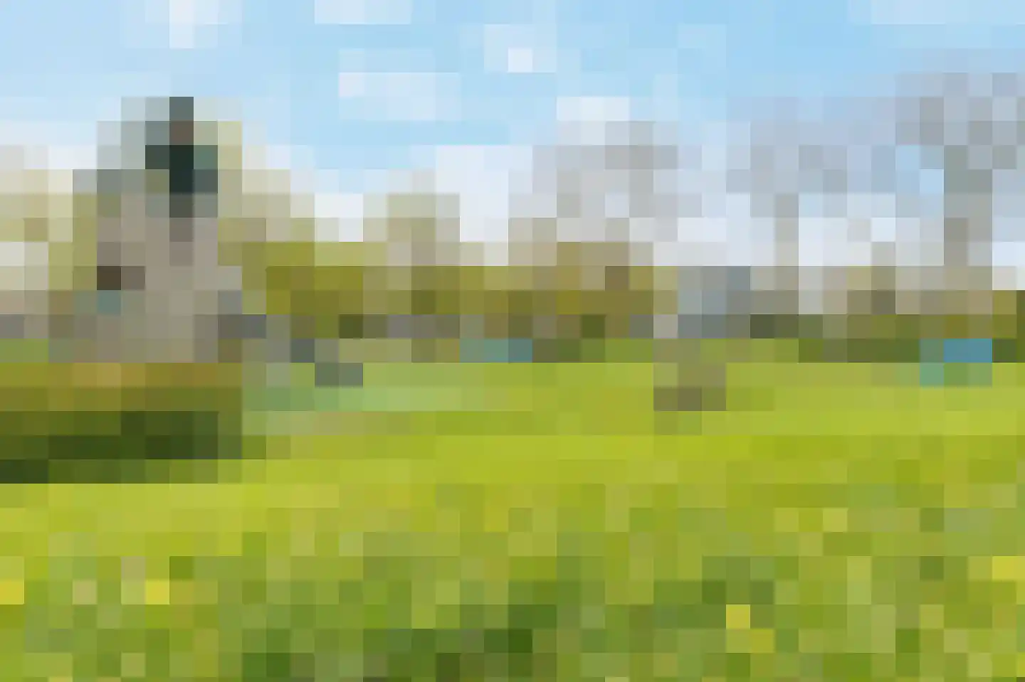 Erasmuspark 40 Ridderkerk thumbnail 29