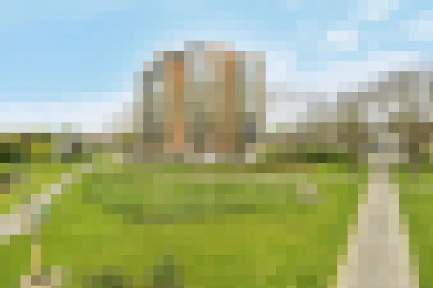 Erasmuspark 40 Ridderkerk thumbnail 32