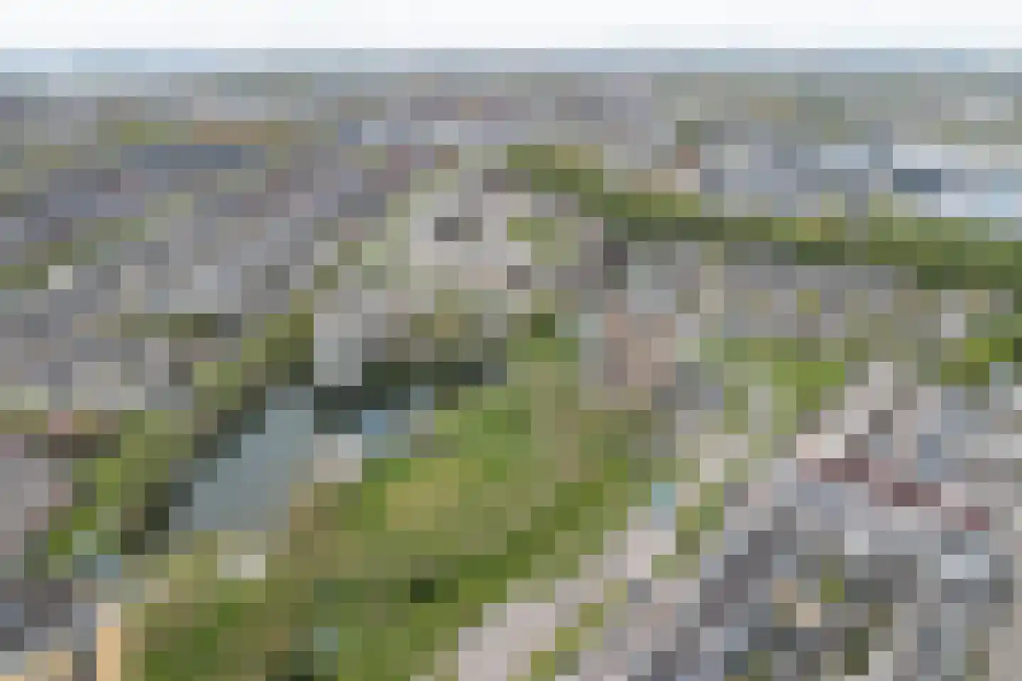Erasmuspark 40 Ridderkerk thumbnail 34
