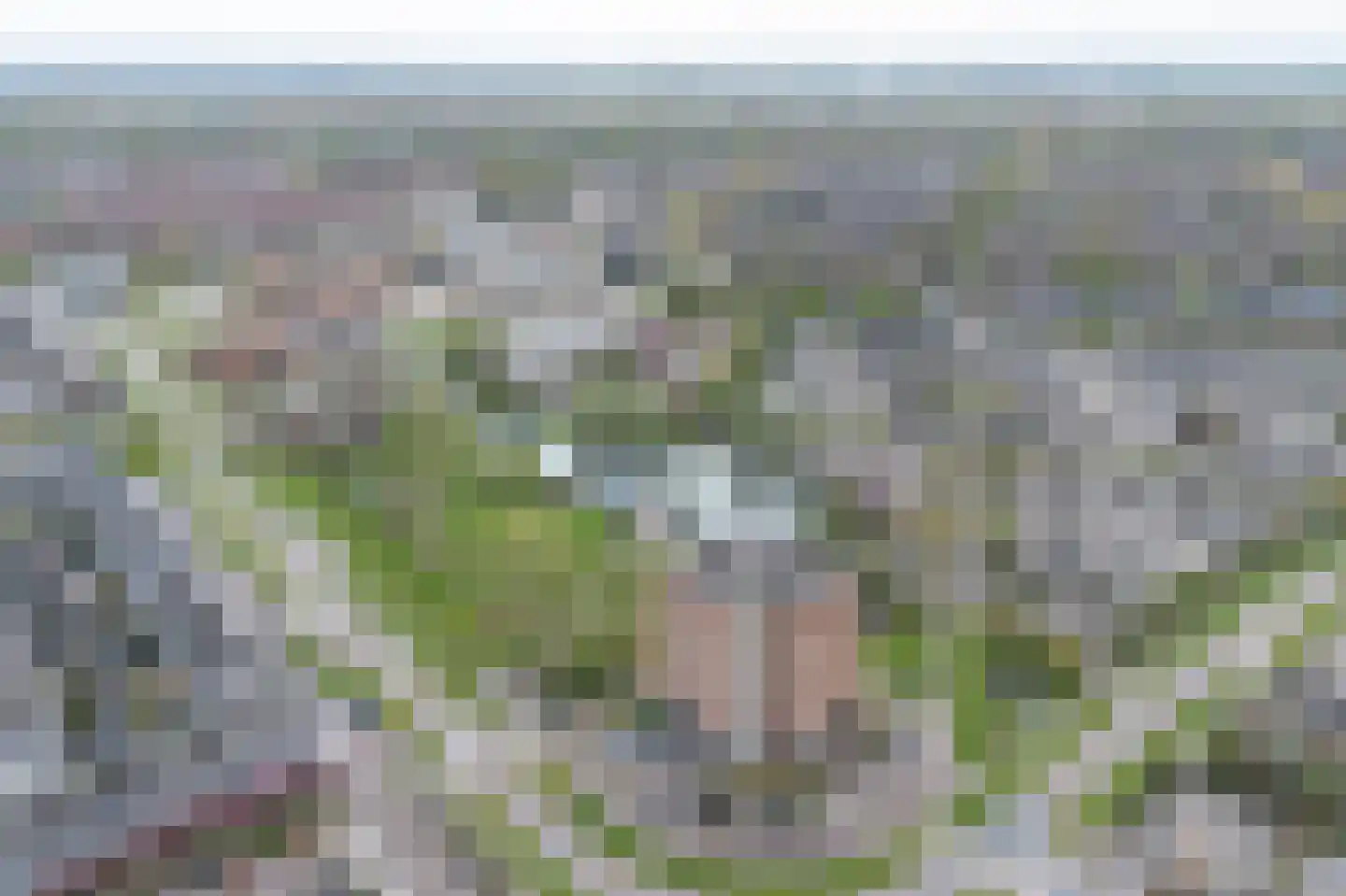 Erasmuspark 40 Ridderkerk thumbnail 35