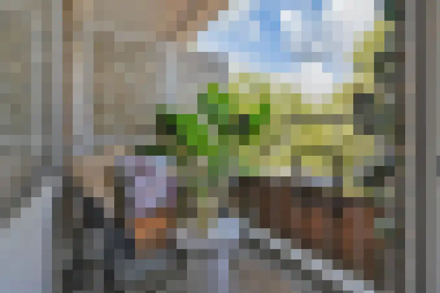 Erasmusplein 197 Den Haag thumbnail 19