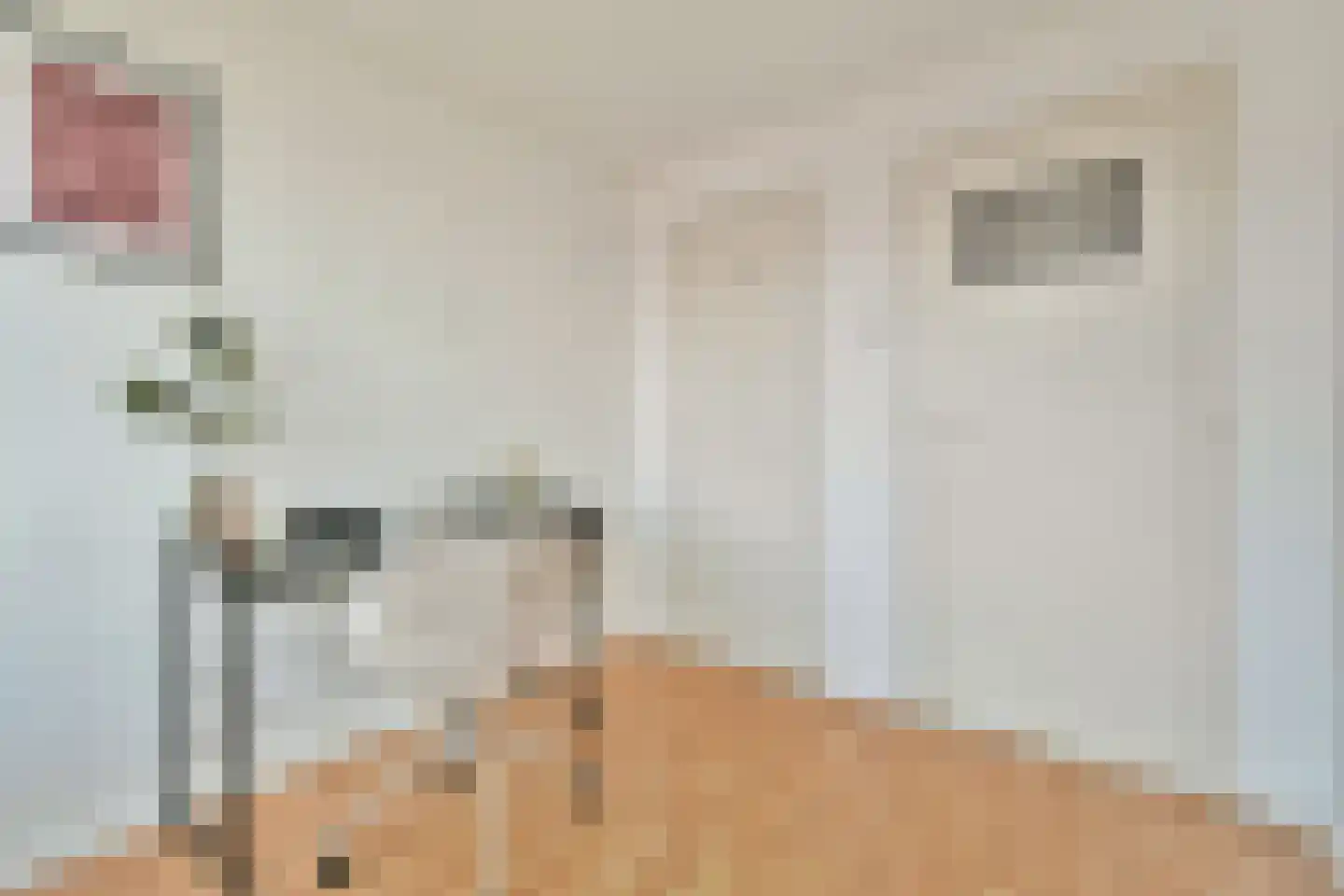 Erasmusplein 5 Papendrecht thumbnail 18