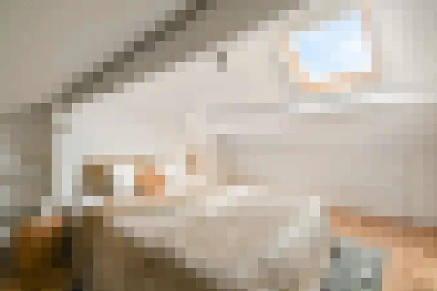 Erasmusplein 5 Papendrecht thumbnail 19