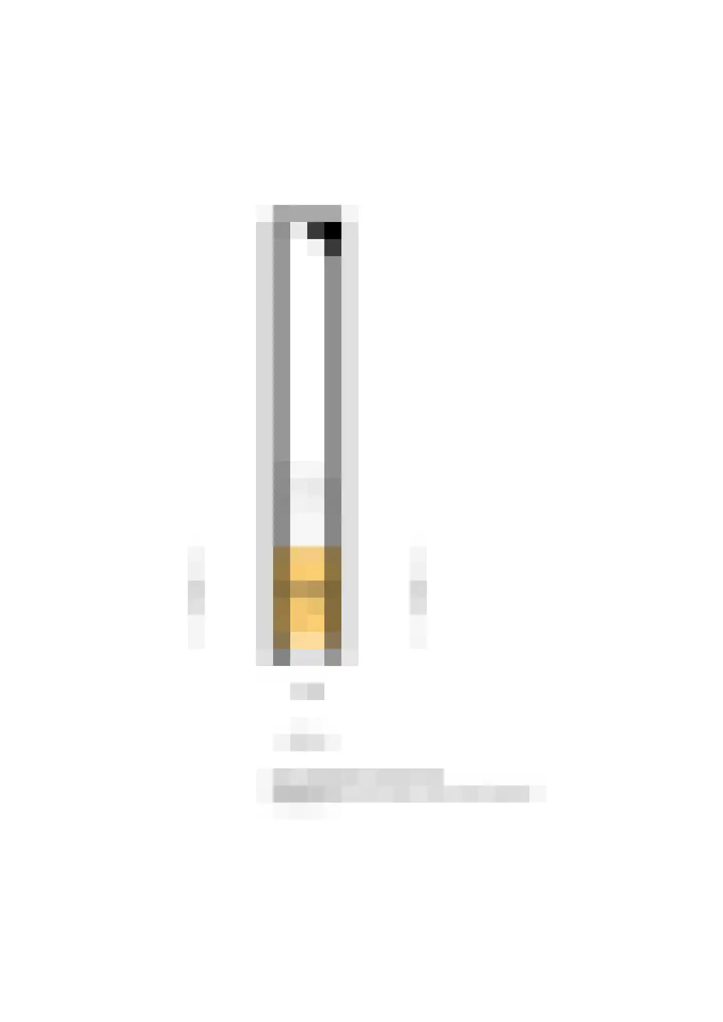 Erasmussingel 10 B Rotterdam thumbnail 37