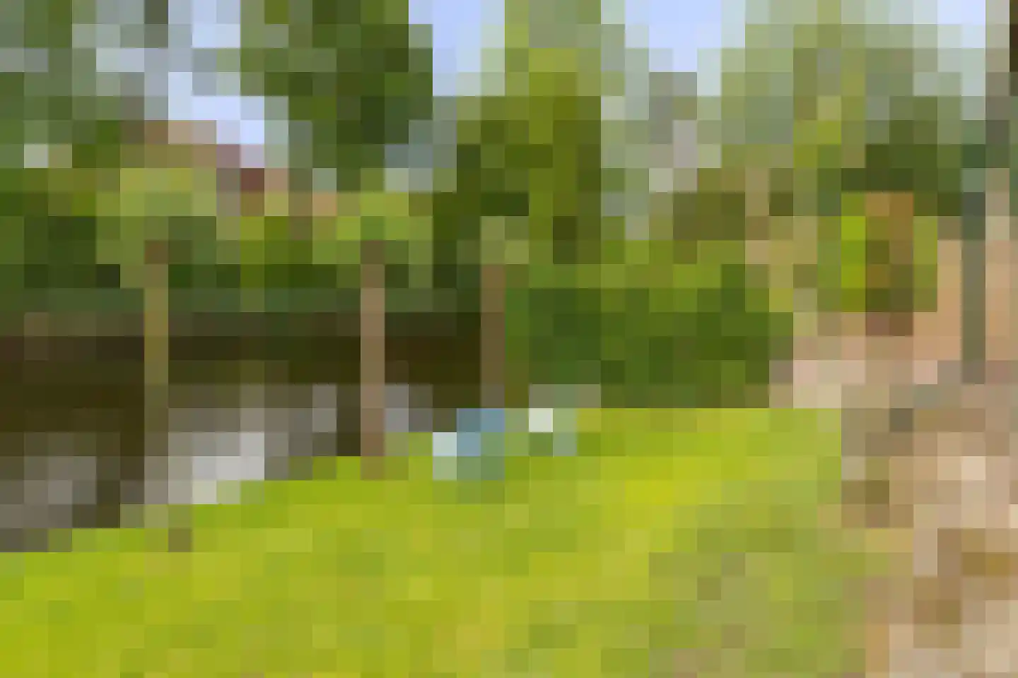 Erasmussingel 16 A Heerhugowaard thumbnail 50