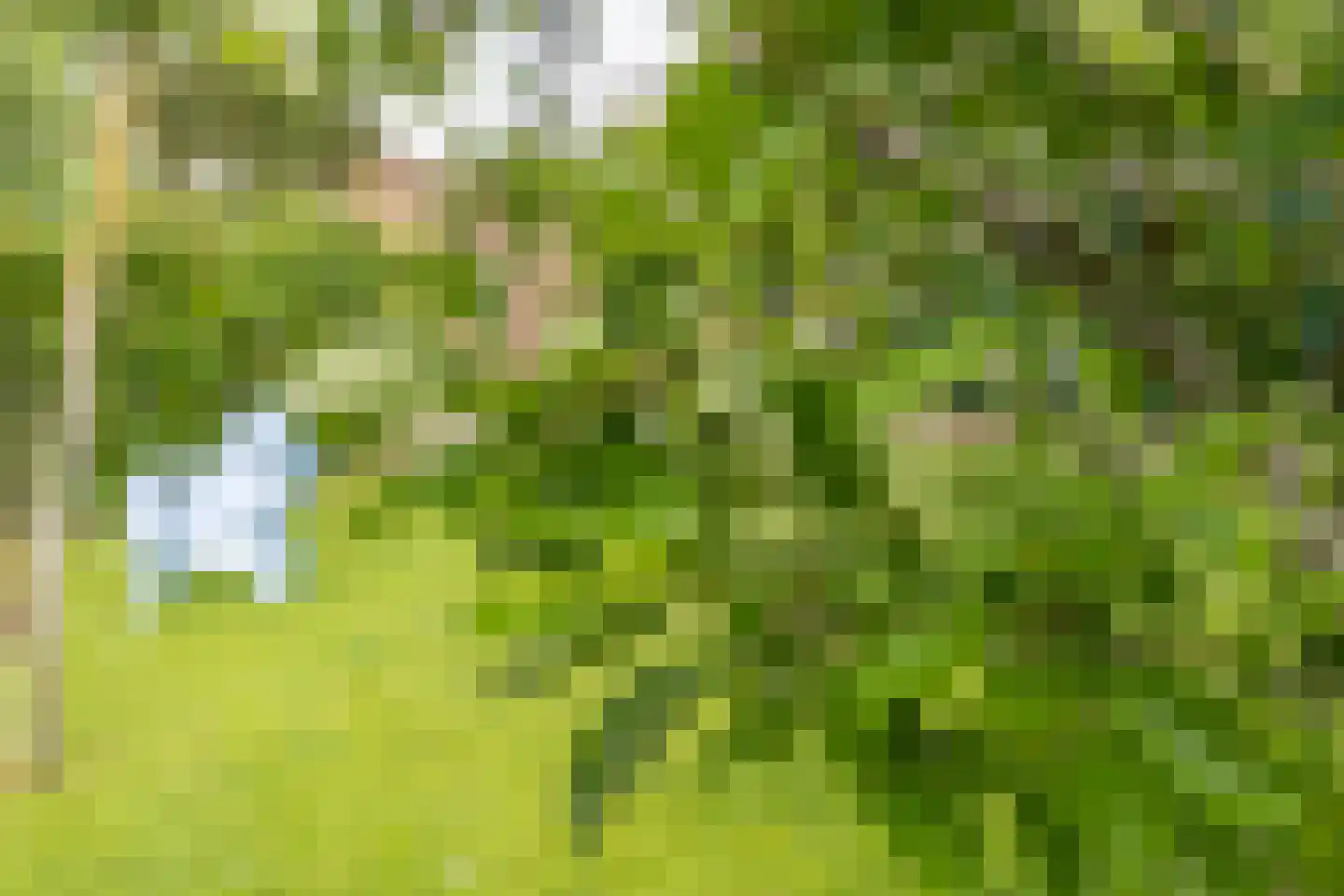 Erasmussingel 16 A Heerhugowaard thumbnail 53