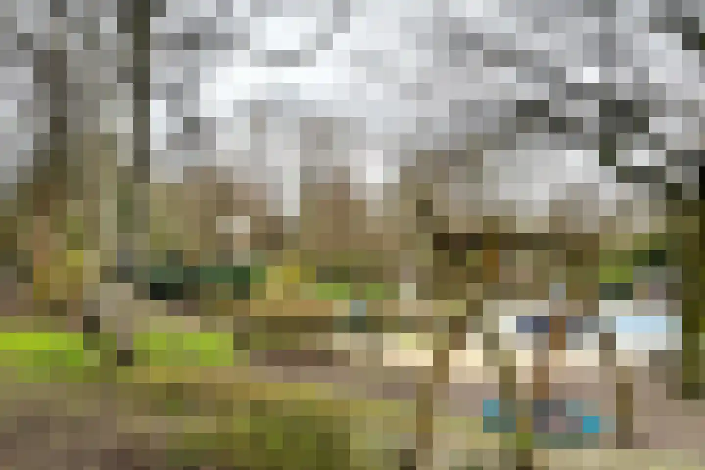 Erasmussingel 4 A Rotterdam thumbnail 32