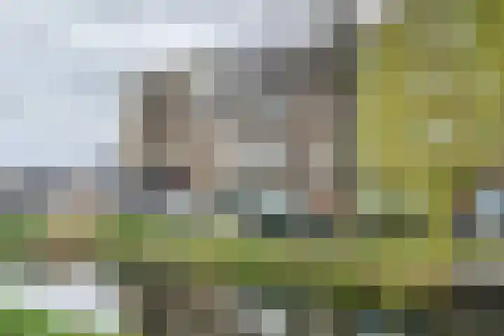 Erasmussingel 4 B Rotterdam thumbnail 27