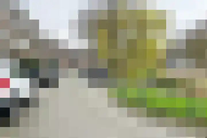 Erasmussingel 4 B Rotterdam thumbnail 28
