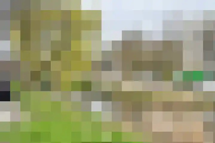 Erasmussingel 4 B Rotterdam thumbnail 29
