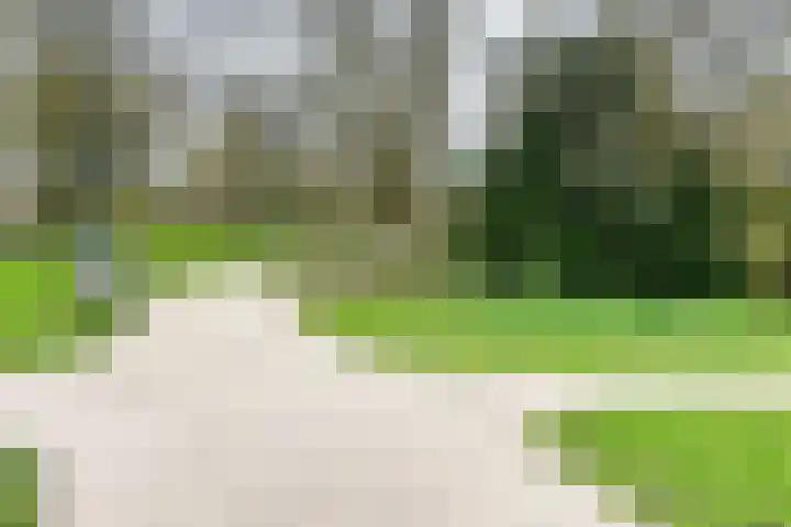 Erasmussingel 4 B Rotterdam thumbnail 31