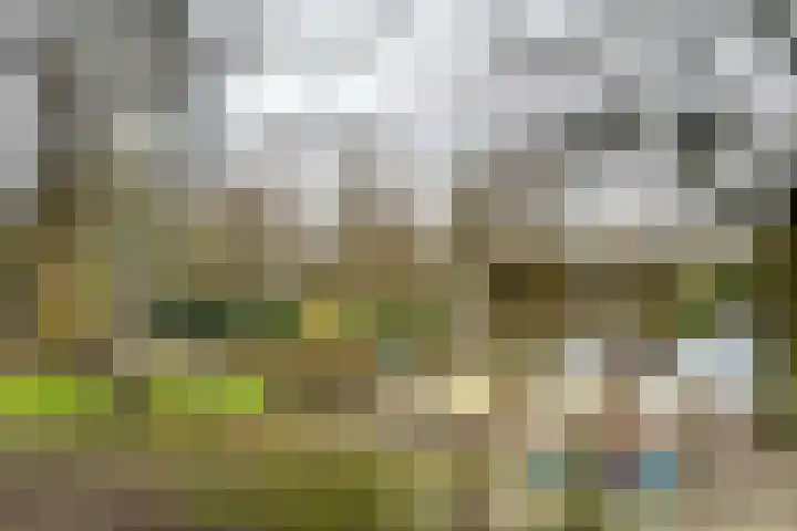 Erasmussingel 4 B Rotterdam thumbnail 32