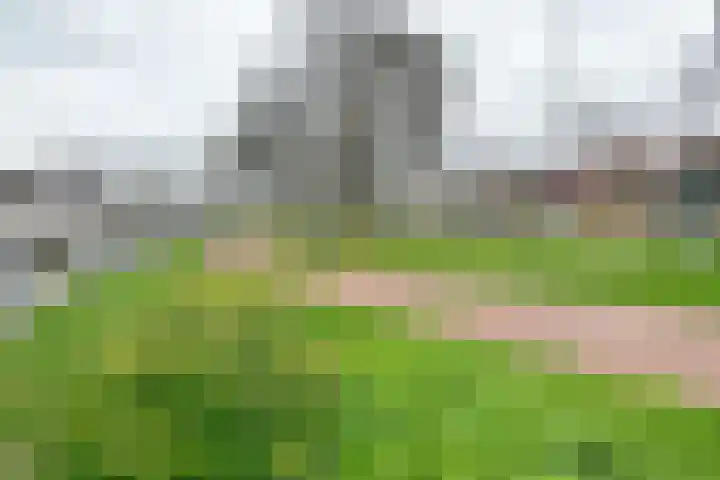 Erasmussingel 4 B Rotterdam thumbnail 33