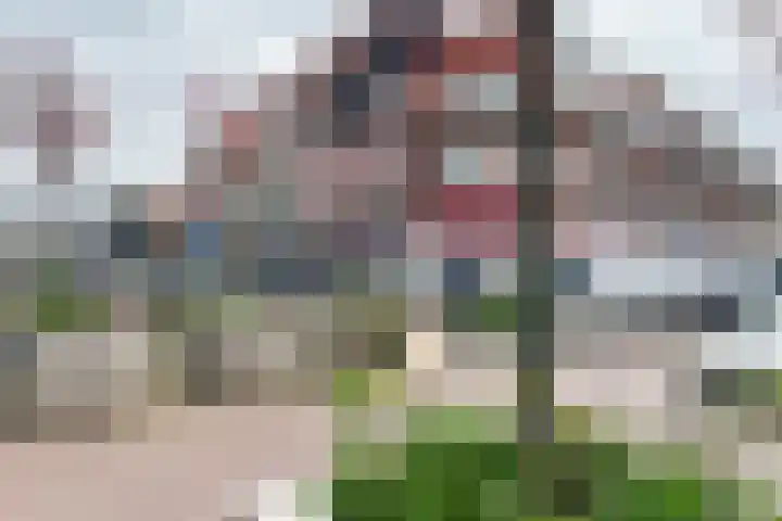 Erasmussingel 4 B Rotterdam thumbnail 37