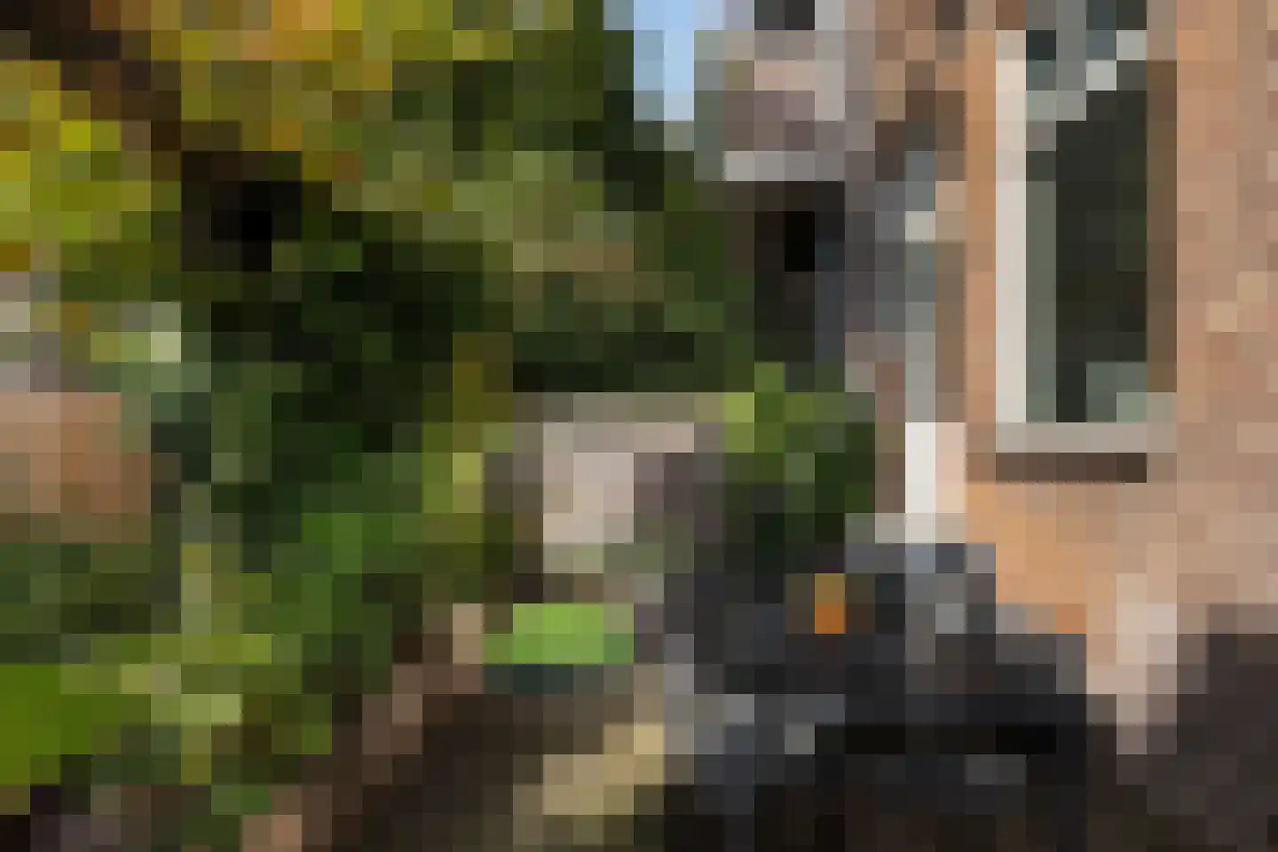 Erasmussingel 48 B Rotterdam thumbnail 28