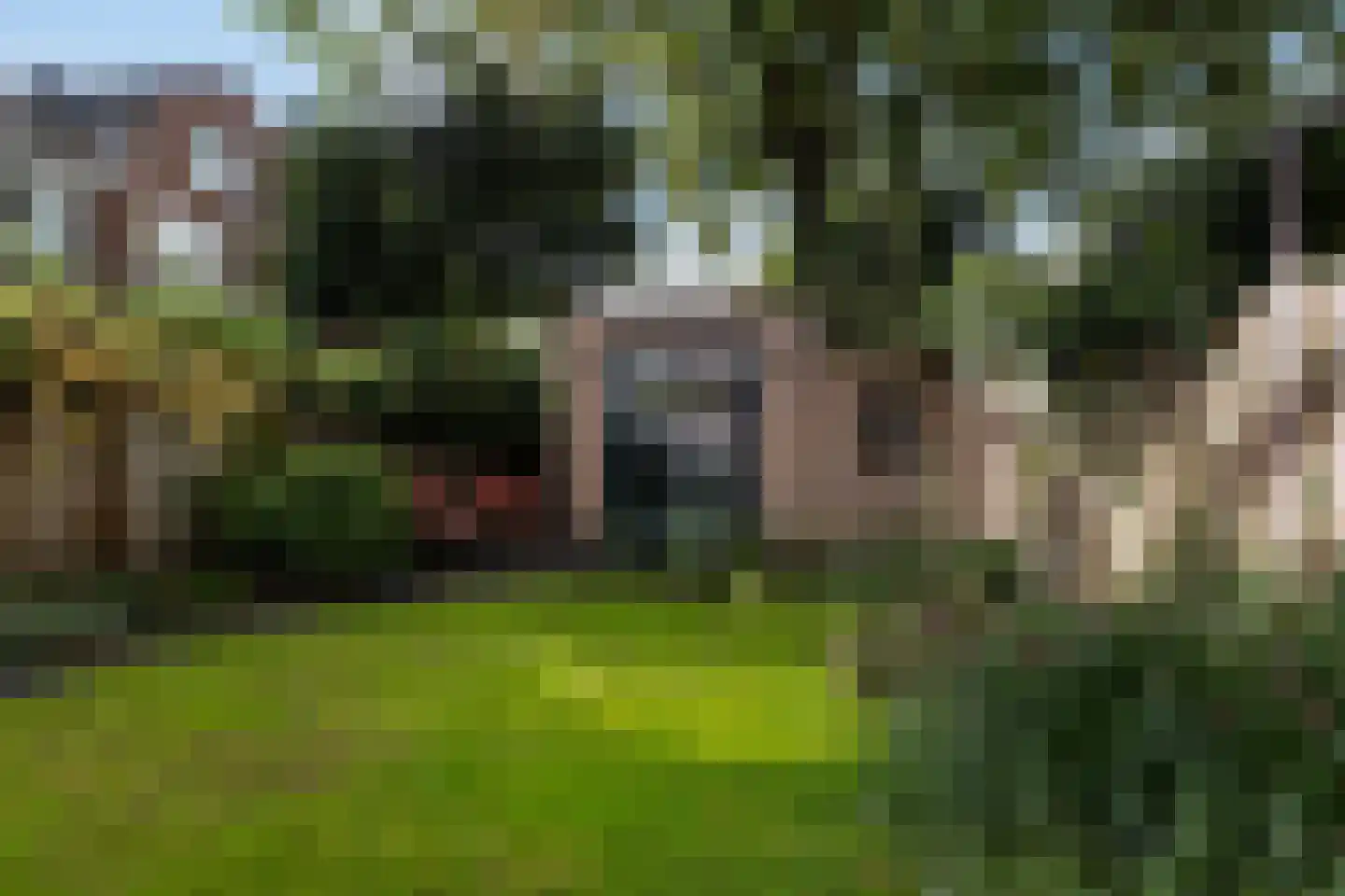 Erasmussingel 48 B Rotterdam thumbnail 30
